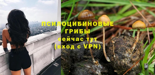 скорость Алзамай